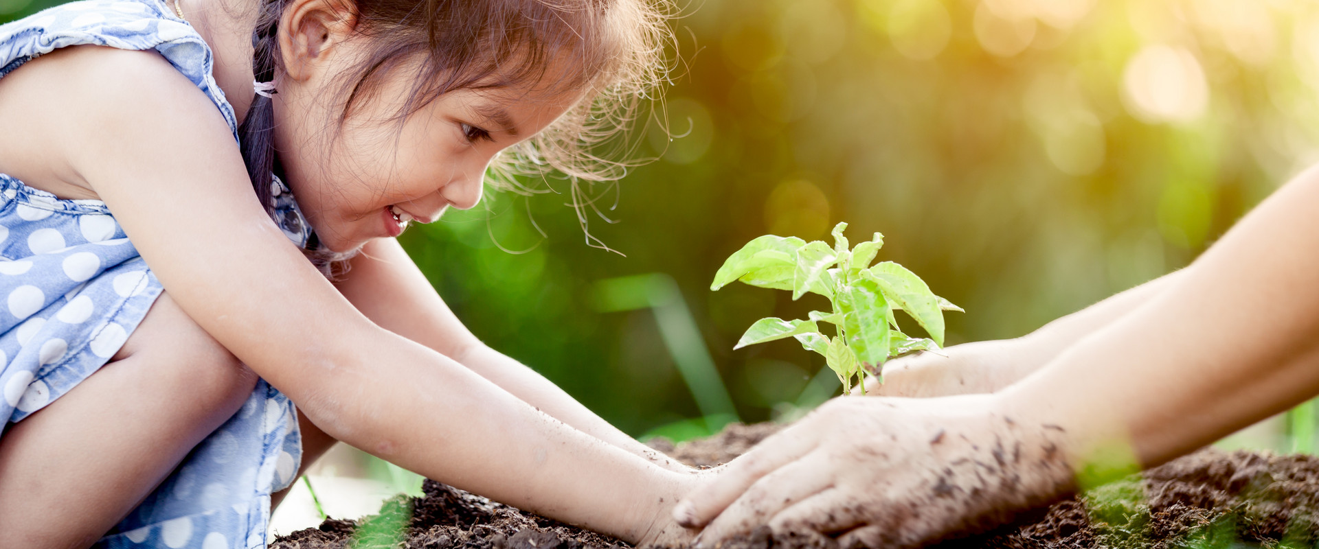 Kind pflanzt Blume ein