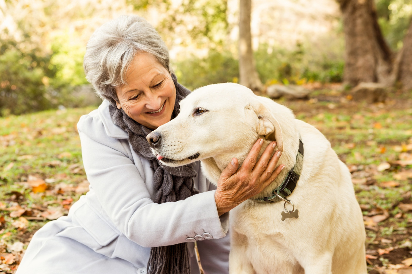 Frau spielt mit Hund